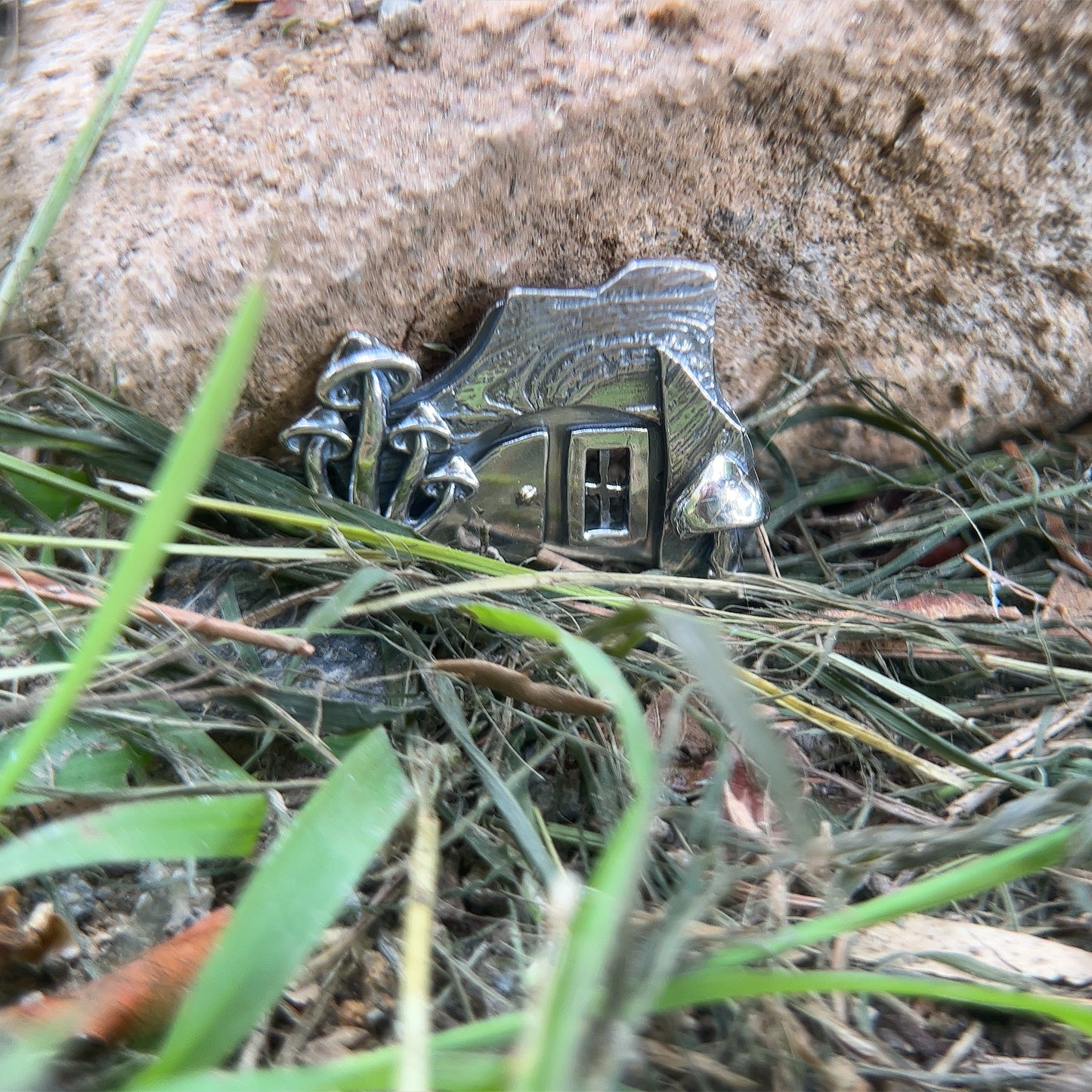 Shroom Fairy House A - Abigail's House