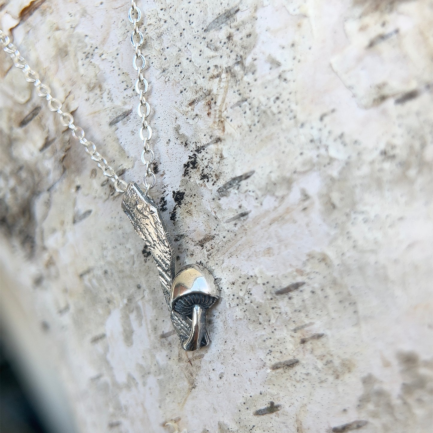 Mushroom Branch B